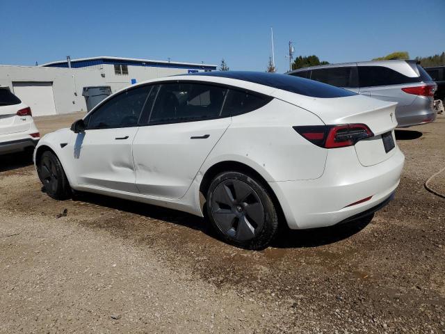 5YJ3E1EA4PF399948 - 2023 TESLA MODEL 3 WHITE photo 2