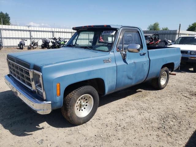 CCD149Z206789 - 1979 CHEVROLET PICK UP BLUE photo 1