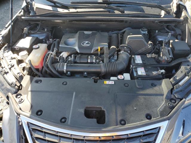 JTJDARDZ0M2244380 - 2021 LEXUS NX 300 BASE GRAY photo 12