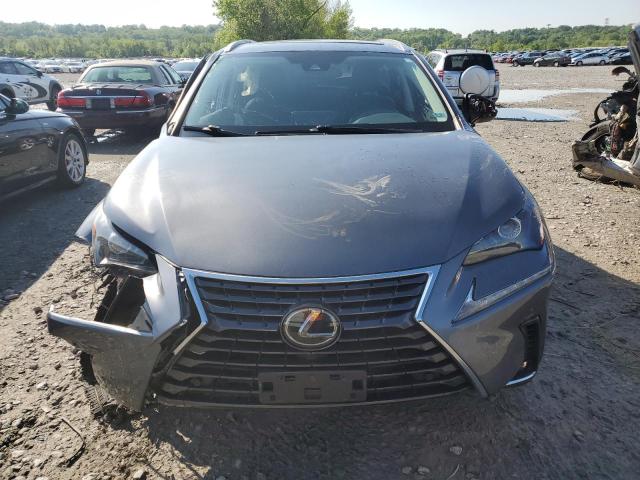 JTJDARDZ0M2244380 - 2021 LEXUS NX 300 BASE GRAY photo 5