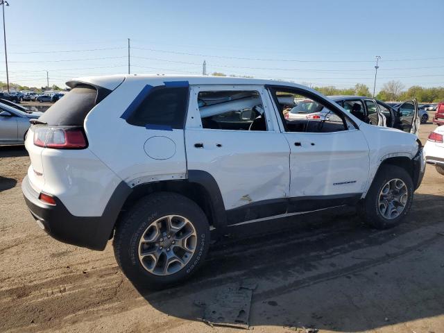 1C4PJMBX1ND524383 - 2022 JEEP CHEROKEE TRAILHAWK WHITE photo 3