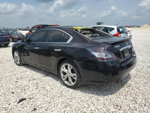 1N4AA5AP3CC807759 - 2012 NISSAN MAXIMA S PURPLE photo 2