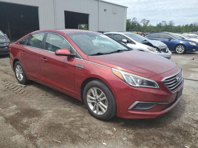 5NPE24AF5GH282529 - 2016 HYUNDAI SONATA SE BURGUNDY photo 4