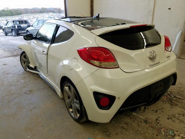 KMHTC6AE2EU185505 - 2014 HYUNDAI VELOSTER TURBO  photo 3