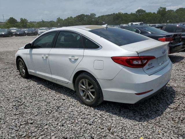 5NPE24AF2FH008428 - 2015 HYUNDAI SONATA SE WHITE photo 2