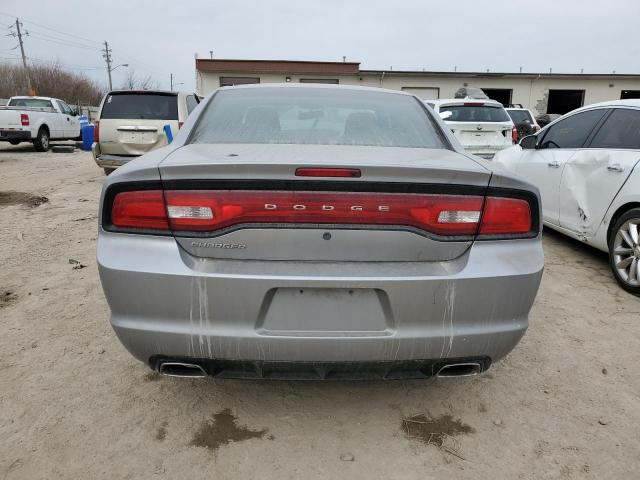 2C3CDXAT7DH560347 - 2013 DODGE CHARGER POLICE SILVER photo 6