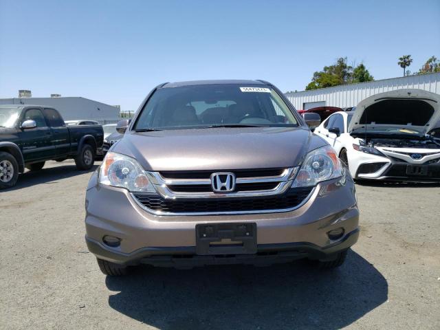 5J6RE3H75AL042508 - 2010 HONDA CR-V EXL GRAY photo 5