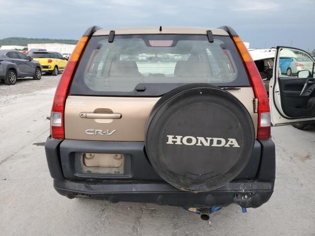 JHLRD68554C012358 - 2004 HONDA CR-V EX LX TAN photo 6