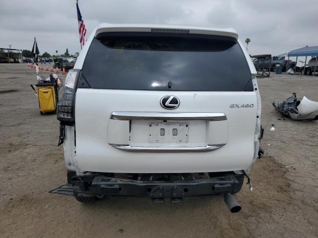 JTJAM7BX3P5346792 - 2023 LEXUS GX 460 WHITE photo 6