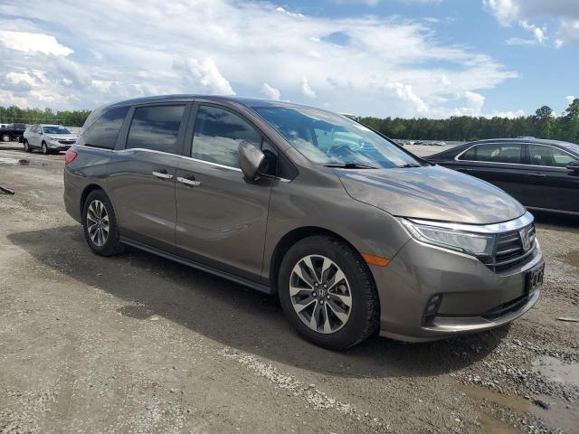 5FNRL6H73MB002674 - 2021 HONDA ODYSSEY EXL თაფლისფერი ფოტო 4