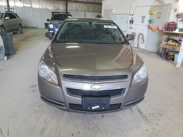 1G1ZC5EBXAF323081 - 2010 CHEVROLET MALIBU 1LT 棕色 照片 5