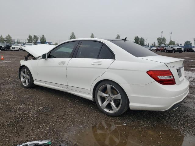 WDDGF8JB3EA956334 - 2014 MERCEDES-BENZ C 350 4MATIC WHITE photo 2