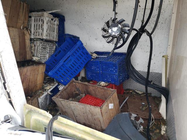 3C6TRVCG6JE157122 - 2018 RAM PROMASTER 2500 HIGH 白色 照片 11