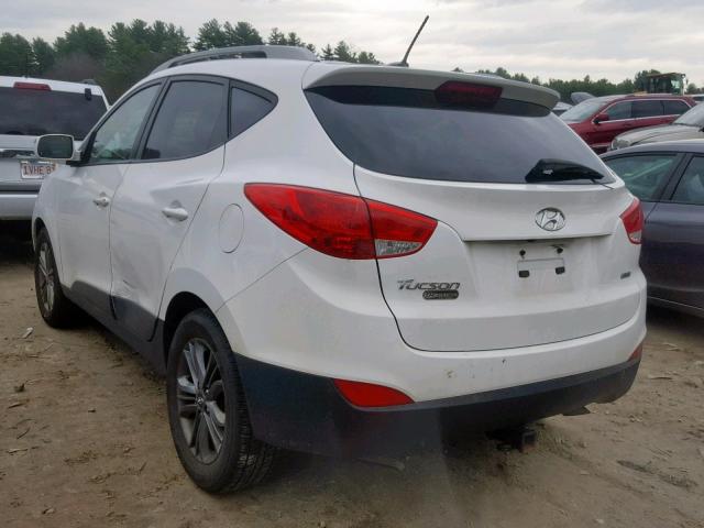 KM8JUCAG0FU079303 - 2015 HYUNDAI TUCSON LIMITED  photo 3