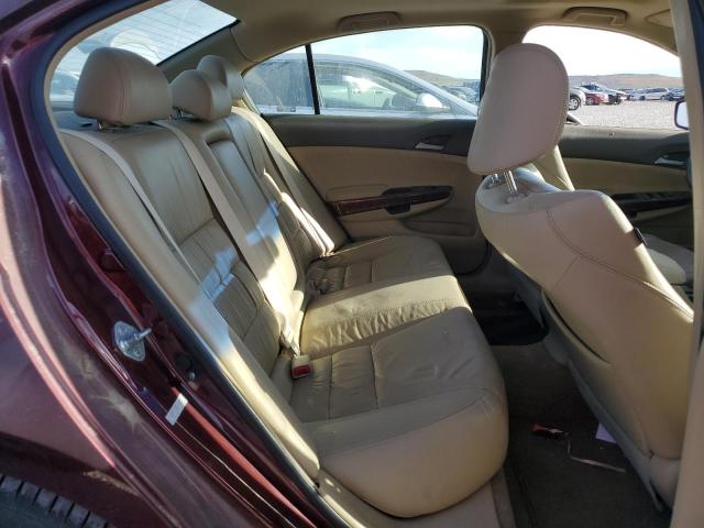 1HGCP26828A105583 - 2008 HONDA ACCORD EXL BURGUNDY photo 10