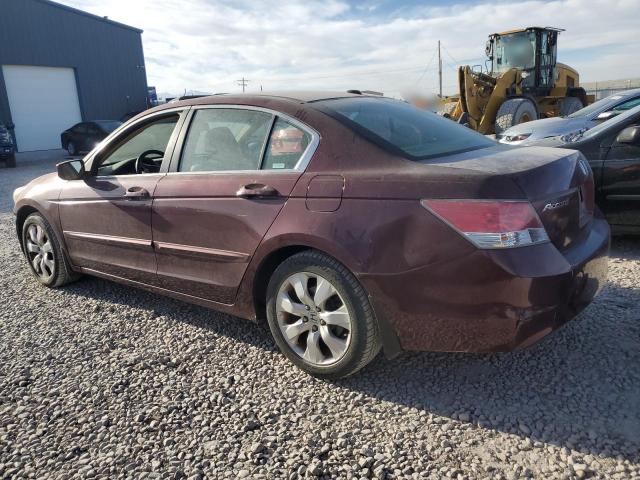 1HGCP26828A105583 - 2008 HONDA ACCORD EXL BURGUNDY photo 2