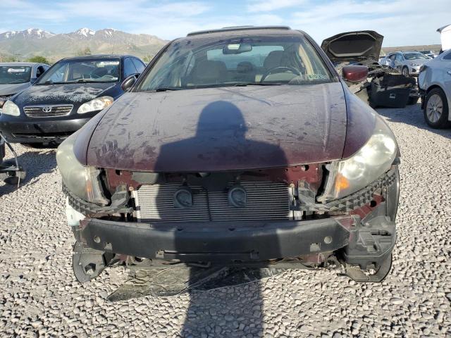 1HGCP26828A105583 - 2008 HONDA ACCORD EXL BURGUNDY photo 5