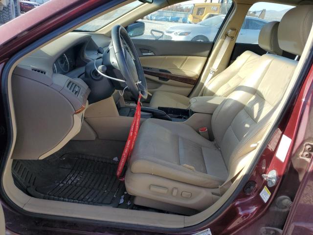 1HGCP26828A105583 - 2008 HONDA ACCORD EXL BURGUNDY photo 7
