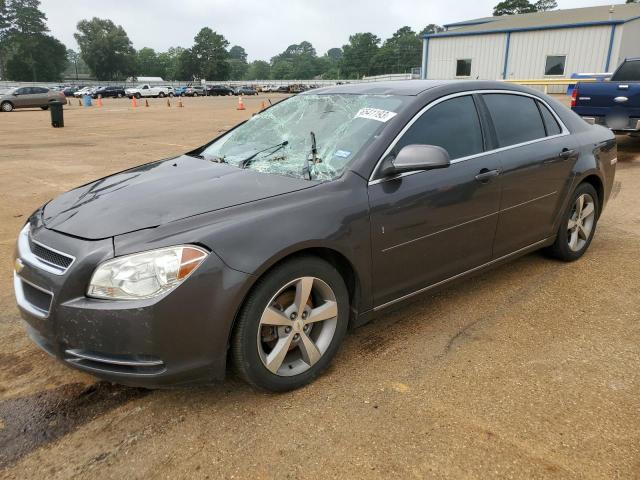 1G1ZC5E16BF301796 - 2011 CHEVROLET MALIBU 1LT 灰色 照片 1