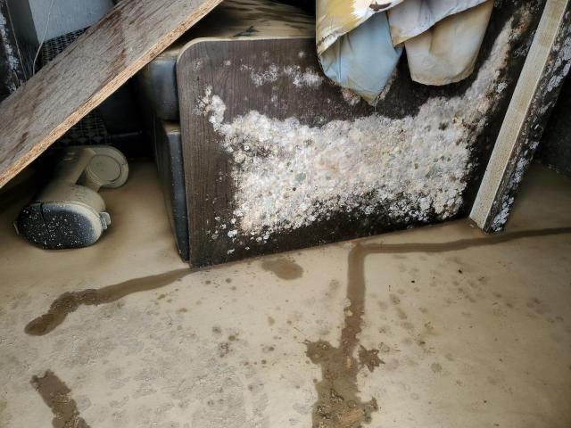 5SFPB2921LE420430 - 2020 HEARTLAND GATEWAY 双色 照片 9