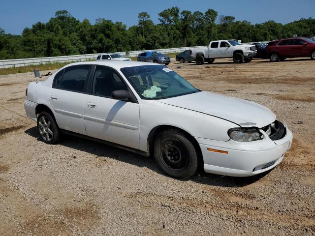 1G1ND52F95M118288 - 2005 CHEVROLET CLASSIC WHITE photo 4