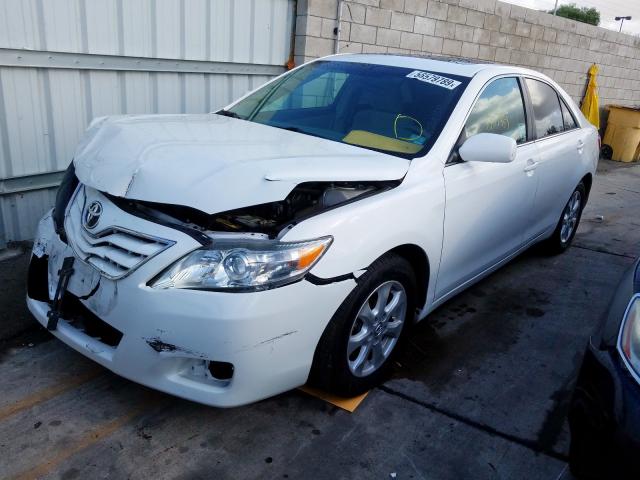 4T4BF3EK9BR102395 - 2011 TOYOTA CAMRY BASE  photo 2