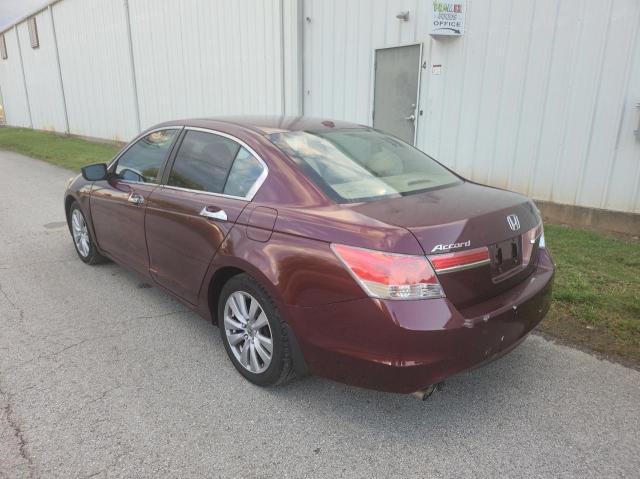 1HGCP3F82CA041043 - 2012 HONDA ACCORD EXL BURGUNDY photo 3