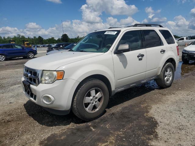 2010 FORD ESCAPE XLT, 