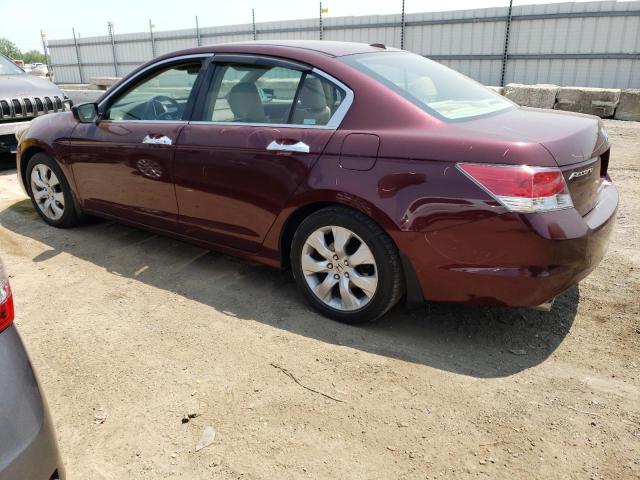 1HGCP36849A036547 - 2009 HONDA ACCORD EXL BURGUNDY photo 2