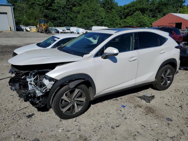 JTJBARBZ2K2215647 - 2019 LEXUS NX 300 BASE Ağ foto 1