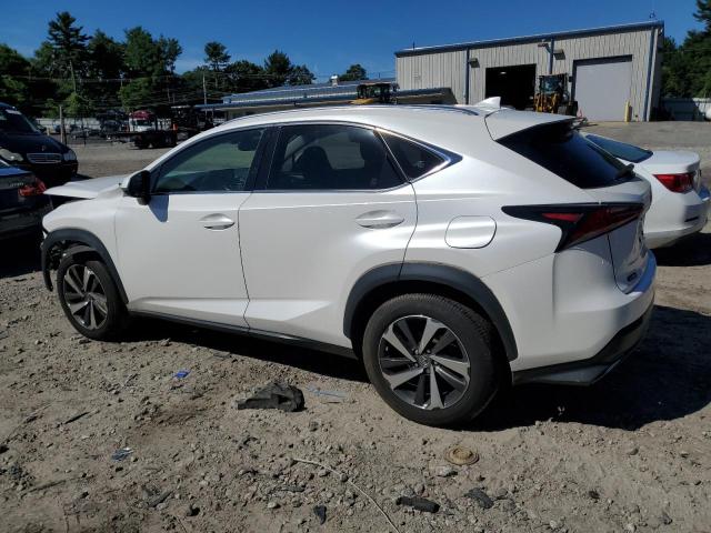 JTJBARBZ2K2215647 - 2019 LEXUS NX 300 BASE Ağ foto 2