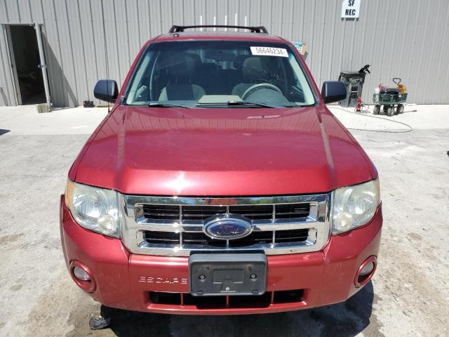 1FMCU03Z18KD22461 - 2008 FORD ESCAPE XLT RED photo 5