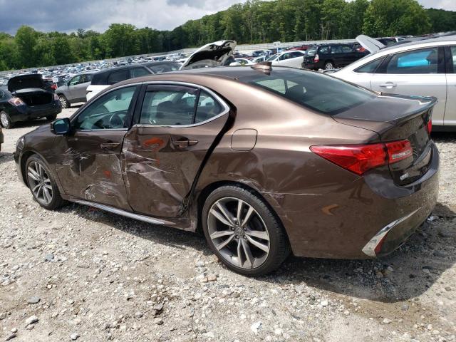 19UUB3F8XLA000131 - 2020 ACURA TLX ADVANCE BROWN photo 2