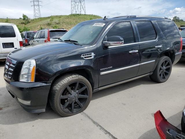 1GYUKCEF4AR259012 - 2010 CADILLAC ESCALADE PREMIUM BLACK photo 1