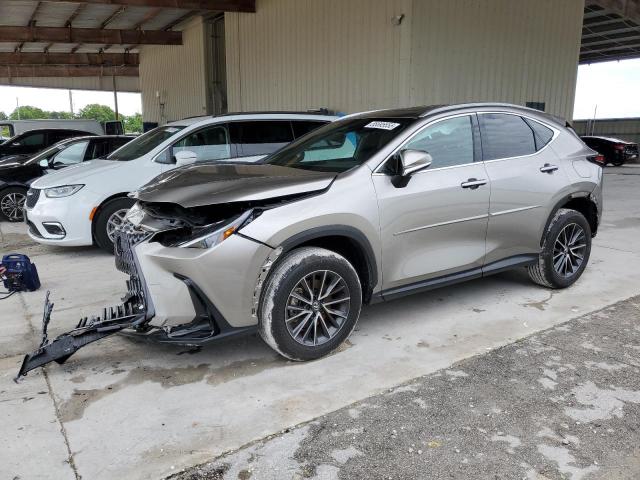 2025 LEXUS NX 250 PREMIUM, null