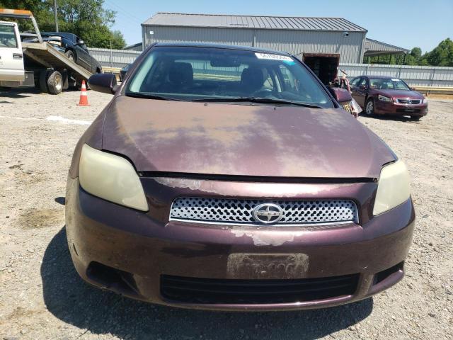 JTKDE167090276021 - 2009 TOYOTA SCION TC PURPLE photo 5