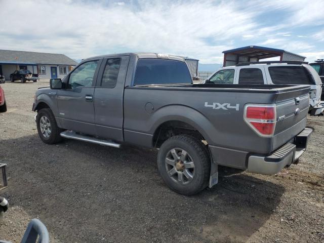 1FTFX1ET8EFA94213 - 2014 FORD F150 SUPER CAB GRAY photo 2