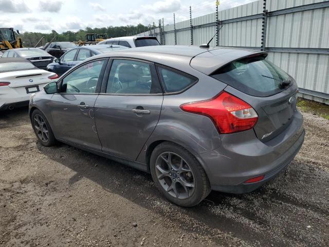 1FADP3K21DL145653 - 2013 FORD FOCUS SE GRAY photo 2