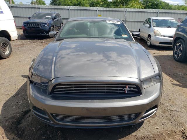 1ZVBP8AM4E5228305 - 2014 FORD MUSTANG GRAY photo 5