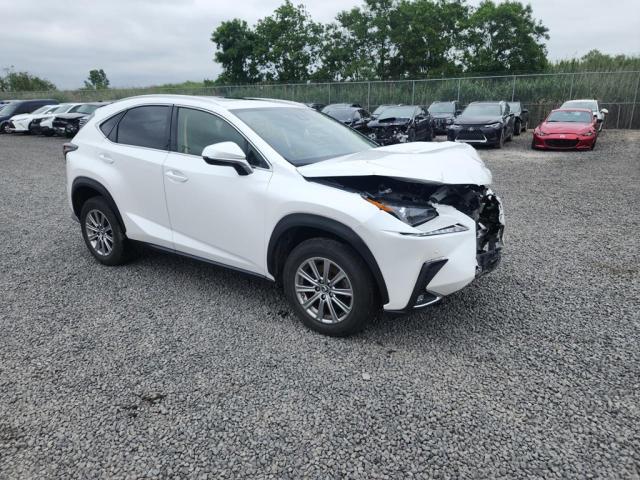 JTJDARDZ9L5015662 - 2020 LEXUS NX 300 WHITE photo 2