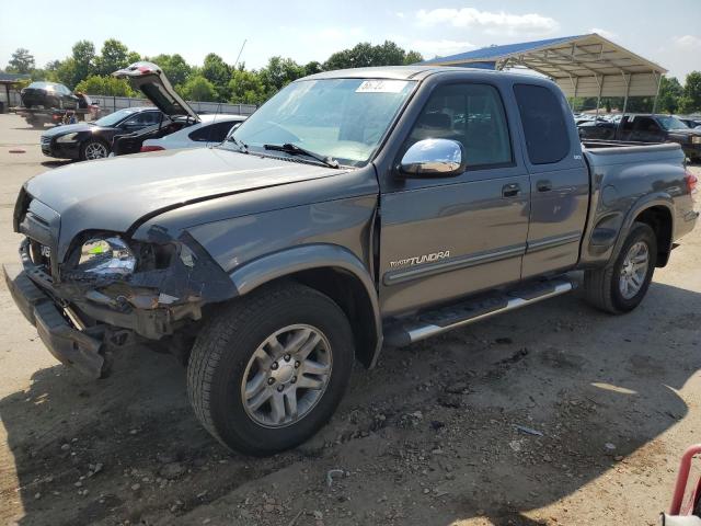 5TBRT34163S421878 - 2003 TOYOTA TUNDRA ACCESS CAB SR5 GRAY photo 1