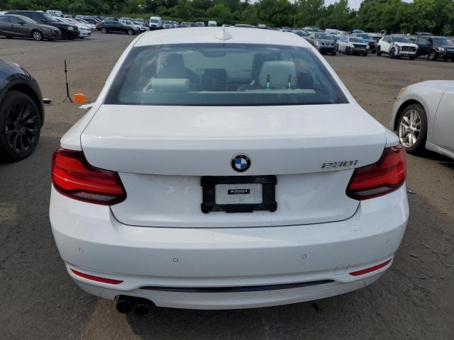 WBA2J1C05M7H51325 - 2021 BMW 230I WHITE photo 6