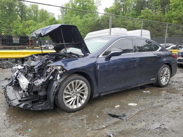 2019 LEXUS ES 300H, null