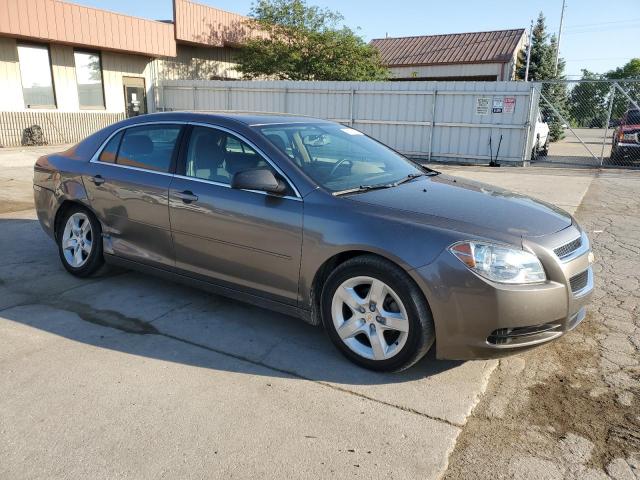 1G1ZB5EB6A4144681 - 2010 CHEVROLET MALIBU LS TAN photo 4