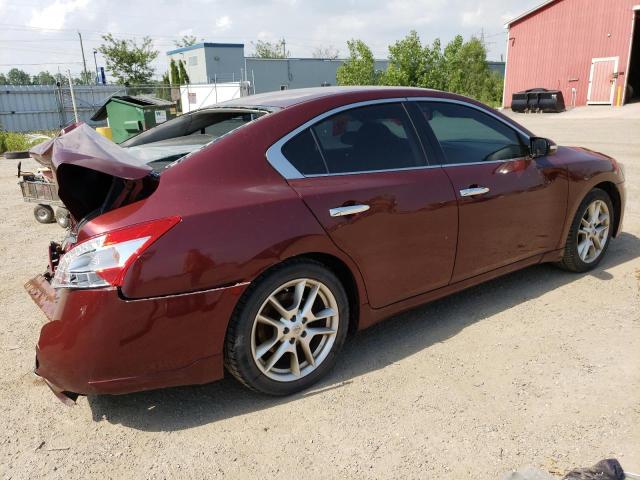 1N4AA5APXBC845262 - 2011 NISSAN MAXIMA S MAROON photo 3