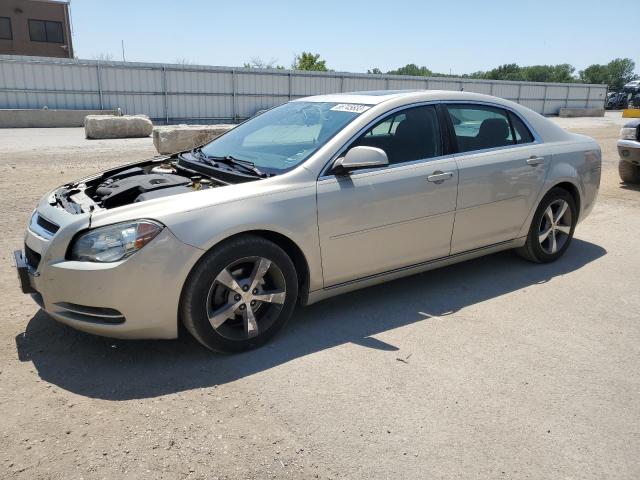 1G1ZC5E12BF190101 - 2011 CHEVROLET MALIBU 1LT GOLD photo 1