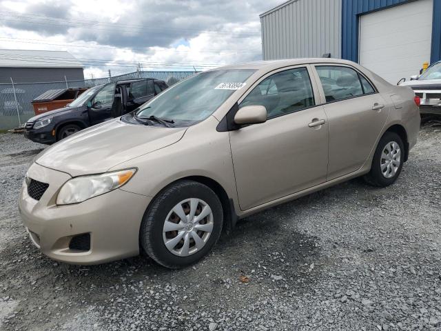 2T1BU4EE0AC363706 - 2010 TOYOTA COROLLA BASE BROWN photo 1