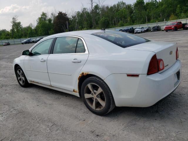 1G1ZC5E19BF107408 - 2011 CHEVROLET MALIBU 1LT WHITE photo 2