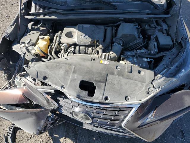 JTJYARBZ7K2136310 - 2019 LEXUS NX 300 BASE ყავისფერი ფოტო 12