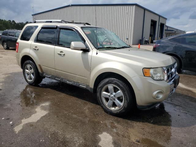 1FMCU0E78BKC02627 - 2011 FORD ESCAPE LIMITED TAN photo 4